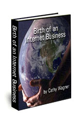Online Business Manual - Birth of an Internet Business
